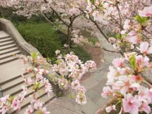 Eighteen Duke Students And Alumni Awarded Fulbright Scholarships